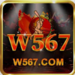 W567 Game